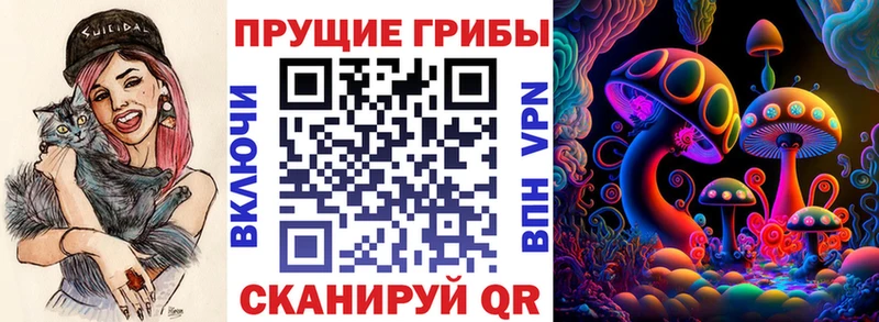 Псилоцибиновые грибы Cubensis  Белореченск 